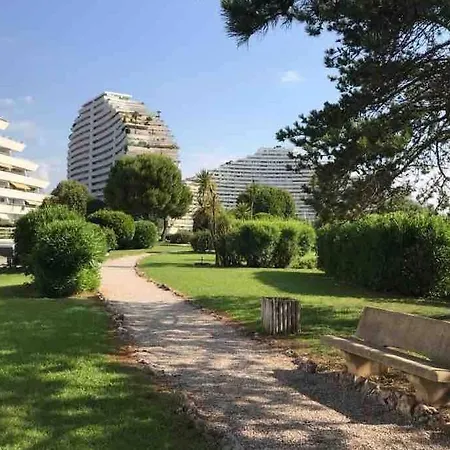 Marina Baie Des Anges - Amiral *